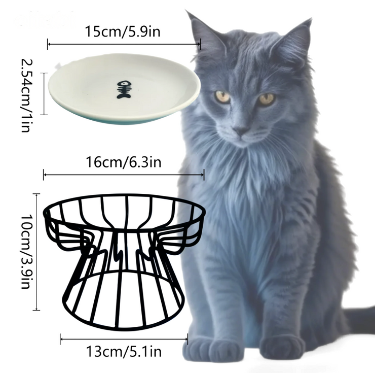 raised cat plate dimensions