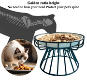 raised cat plate skeleton view
