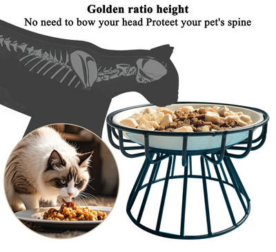 raised cat plate skeleton view