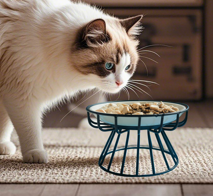 raised cat plate with cat