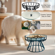 raised cat plate advantages / benefits