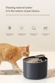 water fountain for cats benefits
