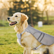 cooling dog harness  with dog