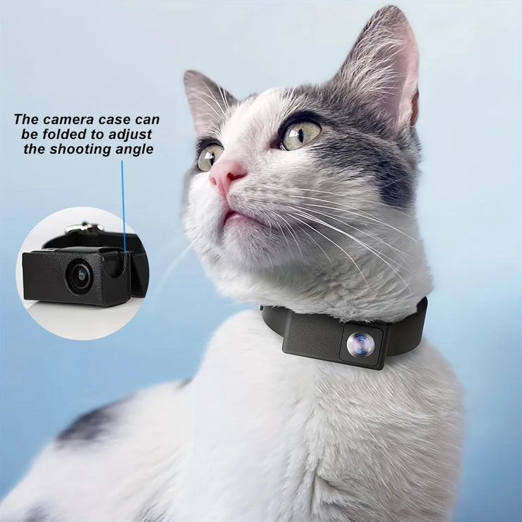 pet collar camera angle
