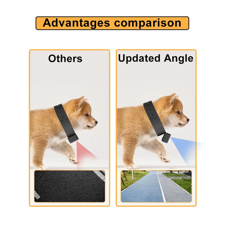 pet collar camera angle
