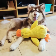 Bite-Resistant Dog Duck Toy