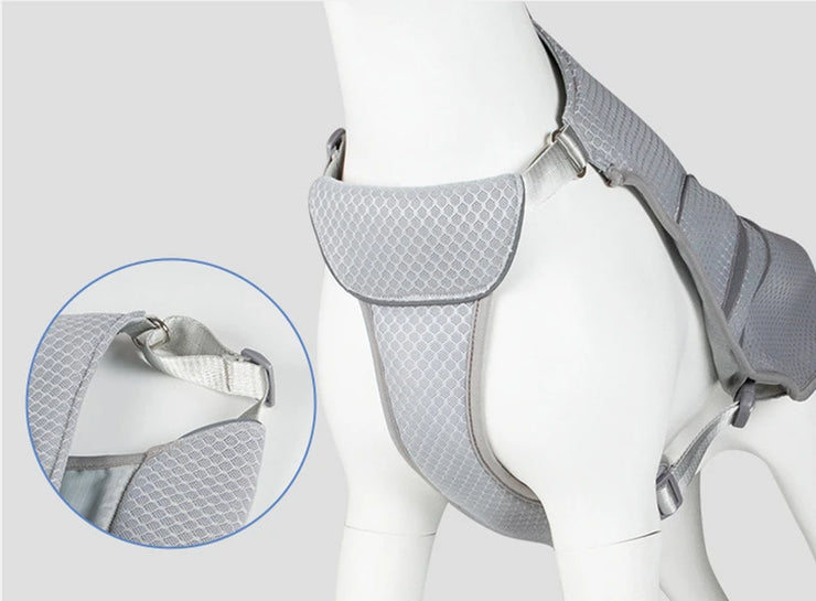 cooling dog harness  fonction