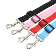 Set of colorful dog leashes with metal clips on a white background