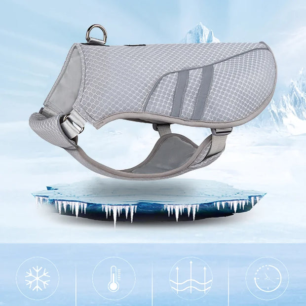 cooling dog harness freezed