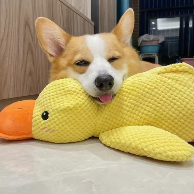 Bite-Resistant Dog Duck Toy