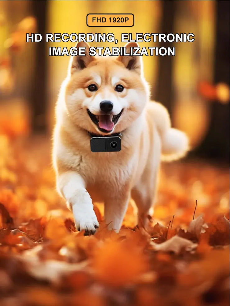 pet collar camera benefits
