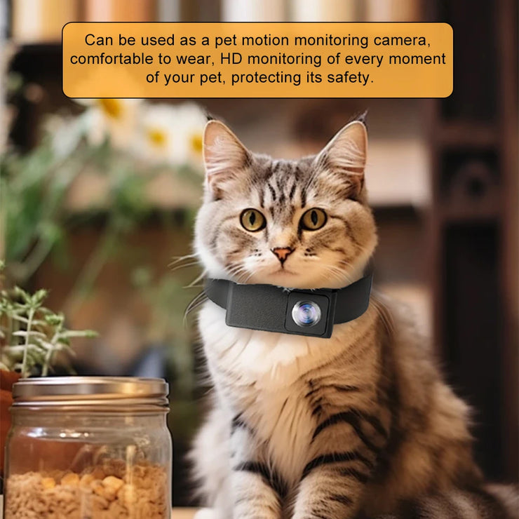 pet collar camera benefits