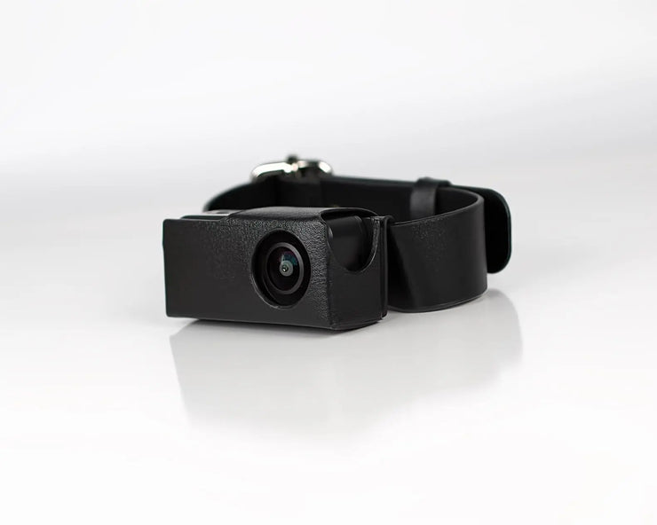 pet collar camera