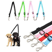 dual leash coupler with two puppies on a white background