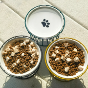 Three pet bowls with food on a concrete surface